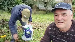 VAMOS VER UM SÍTIO  
