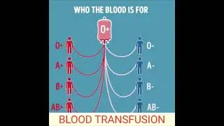 Blood Transfusion Compatibility | ABO Blood Group System | Rh Blood Group System | Who Blood is for?