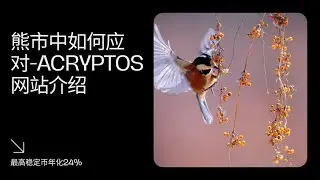 熊市中如何应对acryptos网站介绍-最高稳定币年化30%（2022年9月）