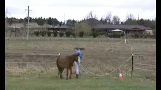 Mel & Patch Liberty & Bridleless Horse Talk TV Make my Horse a Star Entry