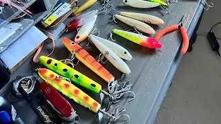 What’s in my Brazilian Jungle Tackle Box?