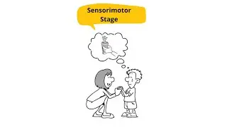 Sensorimotor stage (0 to 2 years) | Jean Piaget