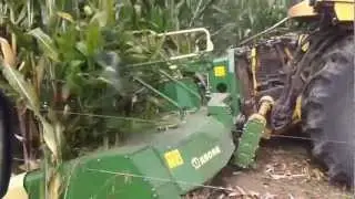 Krone and New Holland in maize