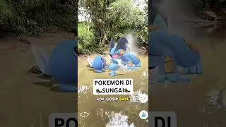 Let's go to the river! What Pokemon are there here? 😆#pokemon #pokemongo #pokemonugo #swampert #m...