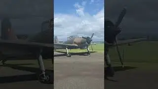 Percival Provost ZK-PPP engine start. #aircraft #plane  #warbirds #aviation