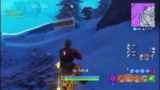 Fortnite Duo victory royale