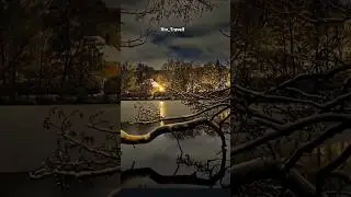 A PLACE IN THE NIGHT ✨️#nature #halmstad #winter #europe #travelvlog