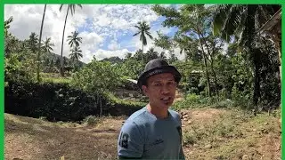 Binenta NADIN NAMIN MGA PANG LECHON BAKA BUMABA PA NG HUSTO ANG PRESYO NG BABOY