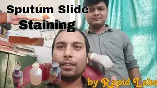 Sputum Slide staining procedure स्पूटम स्लाइड स्टेनिंग कैसे करें