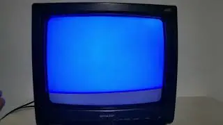 Tv Sharp 14 Polegadas De Tubo Colorida Antiga Bivolt