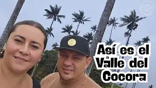 ✨Así es el  Valle del Cocora, QUINDÍO 🌴🇨🇴 ✨
