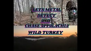 Let's Metal Detect and chase Appalachia Wild Turkey