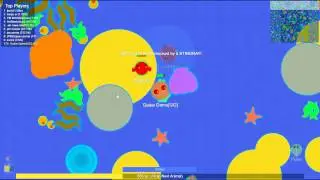 10 seconds was the Stingray