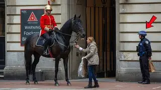 Hero Officer: Tourists Flee Horse Box Chaos Averted as Quick-Thinking Officer Steps In