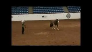 Kasino Kasanova Gold Longeline 2012