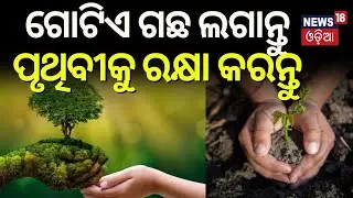 News18 Network Launches Project One Tree; Join the Action Towards Greener Sustainable Future