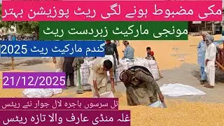 Makki munji gandam price today| till Sarso bajra| ghalla mandi rate today