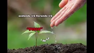 (Pista y Letra)Los que con lágrimas sembraron￼￼ - Martha Luvia