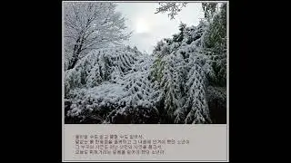 celtic woman-The Ashoken Farewell,Sissel-Rose(Theme of Titanic)&글:마른잎(전세종)의「마른잎 굴러 굴러...」중「편지 (35)」