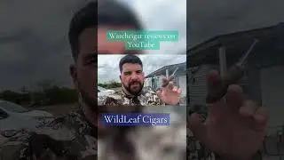 Ave Maria cigar review watch on my YouTube channel WildLeaf Cigars #wildleaf #cigar #cigars #botl