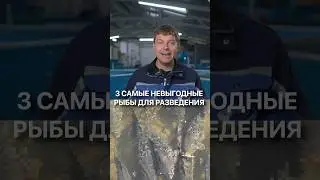 ЭТИ 3 популярные рыбы для разведения не принесут тебе дохода! #рыба #узв #рыбалка #рыбак #ферма