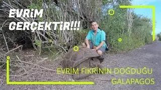 EVRİM GERÇEKTİR !... GALAPAGOSTAN ANLATTIM