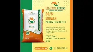 premium fish feed provides optimal nutrition
