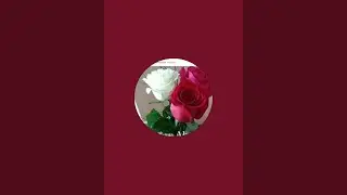 sayed channel  is live