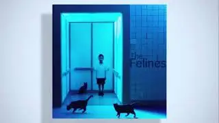 The Felines - Somewhere In My Mind [Official Audio]