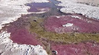 Before Oxygen, Life on Earth Used to Breathe This Infamous Poison