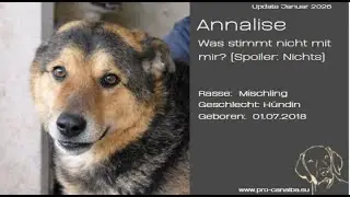 Annalise - Was stimmt nicht mit mir? (Spoiler: Nichts)_Januar26