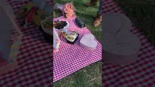 Aesthetic Picnic Day 🌞🥙 #shortsvideo #shorts #picnicday  #aestheticpicnic #aesthetic #picnicvlog