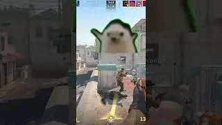 Negev Patience Test: He Stopped, I Started 😂🔥