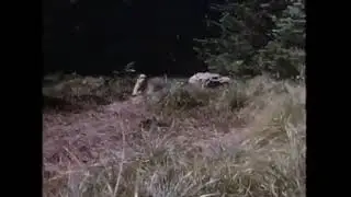 A heart pounding suspense (meme)