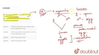 (A) : Sexual reproduction involves the formation and union of two gametes.   (R) : Gametes produced