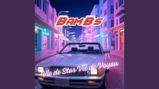 Vie de Star Vie de Voyou