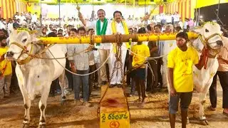 2025-నరసరావుపేట.న్వూకేటగిరి.15వ జత.RK BULLS అత్తోట శీరష చౌదరి శివకృష్ణ చౌదరి గారు వేటపాలెం గ్రామం 