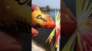 Tes action JF semi oval 3,7cm DHIVYA lure