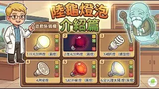 【陸龜燈泡篇】UVA?、UVB?、傻傻分不清? 五分鐘教你快速搞懂陸龜燈泡種類！基礎入門【傑克叔叔小教室】