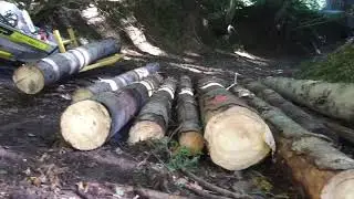 Brennholz machen mit Lumag Minidumper VH500PRO im Wald Holz rücken und Aufladen mit Palettengabel