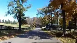 Lake Geneva Fall Colors
