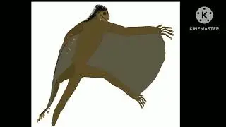 All Today's Colugo  Sound Effects