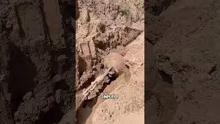 Underground Pipeline Installation: Modern Tools & Machinery for Efficient Work
