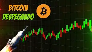 🔴 EL MERCADO CRIPTO EXPLOTO, &iquest;TO THE MOON?| BTC, ETH, XRP, SOL, SUI, BCH