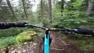 DH Chamrousse,  la classique. les seiglières