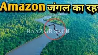 Most Dangerous Animals Of Amazon Rainforest | Strange Facts About Amazon Rainforest [Hindi/Urdu]