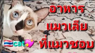 Cat lovers must see this! #cat #catlover #catfood #wetcatfood #Thaipeople