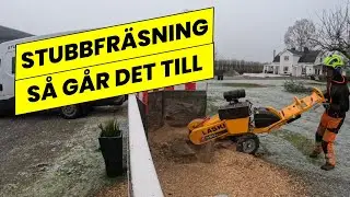 Stubbfräsning Norrköping - Röjex AB