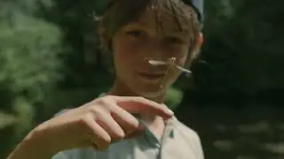 La Grande For&ecirc;t d'Anlier en &eacute;t&eacute;