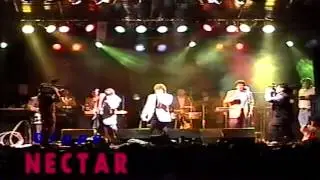 Grupo Néctar - Vagabundo (En Vivo)